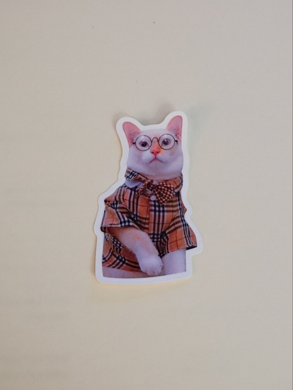 10/$10 Stickers Decal - White Cat in Orange Plaid Shirt, Bow Tie & Glasses